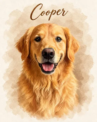 Golden Retriever portrait example