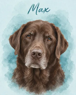 Labrador Retriever portrait example