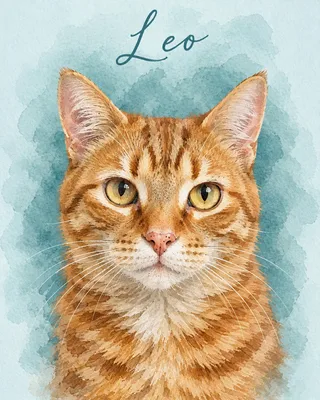 Orange Cat portrait example