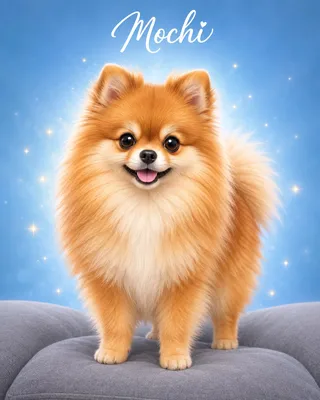 Pomeranian portrait example