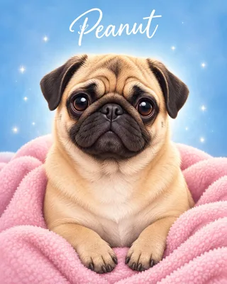 Valentine’s Day Pet portrait example