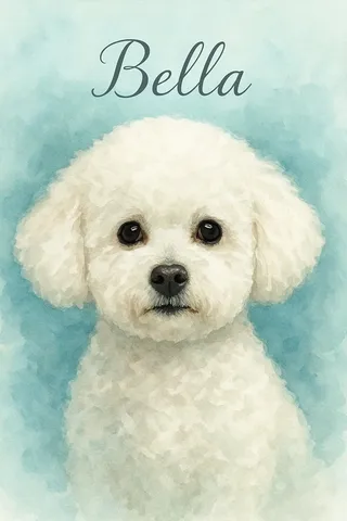 Bichon Frise portrait example