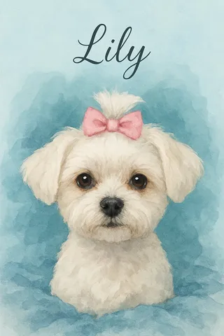 Maltese portrait example