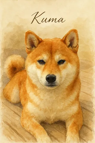 Shiba Inu portrait example
