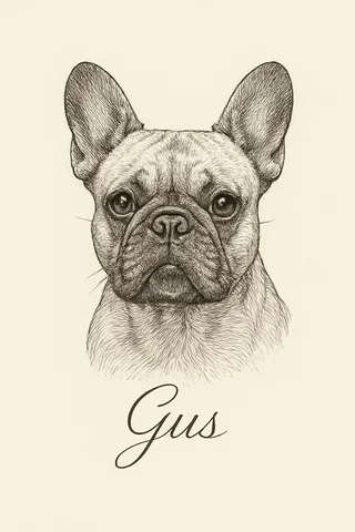 Line Art