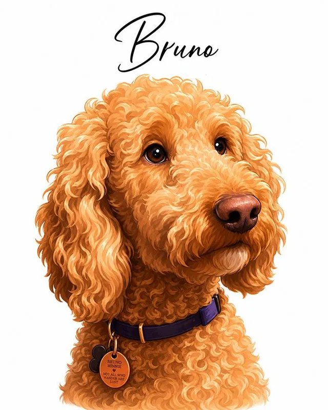 Vector Look pet portrait example