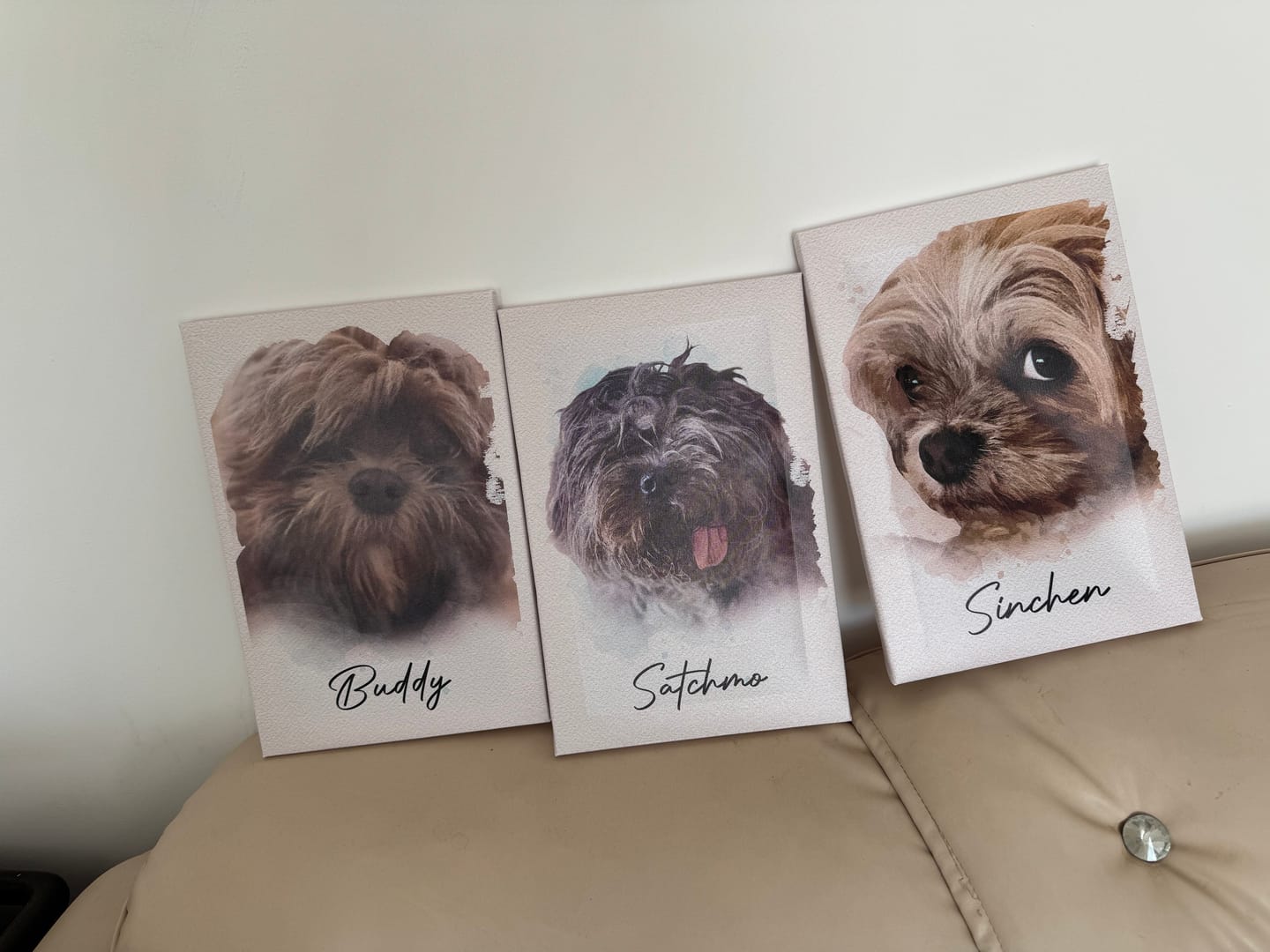 Jenny's pet portrait