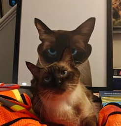 Priya K.'s pet portrait