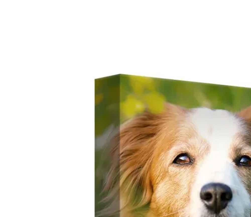 Gallery wrap portrait